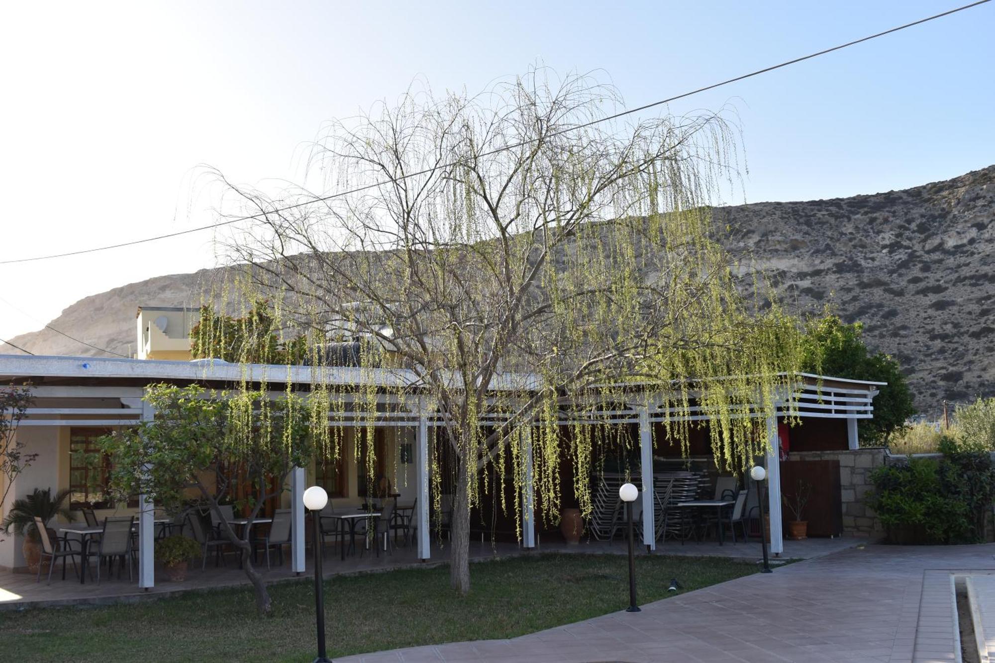 מטלה Dimitris Villa Hotel מראה חיצוני תמונה