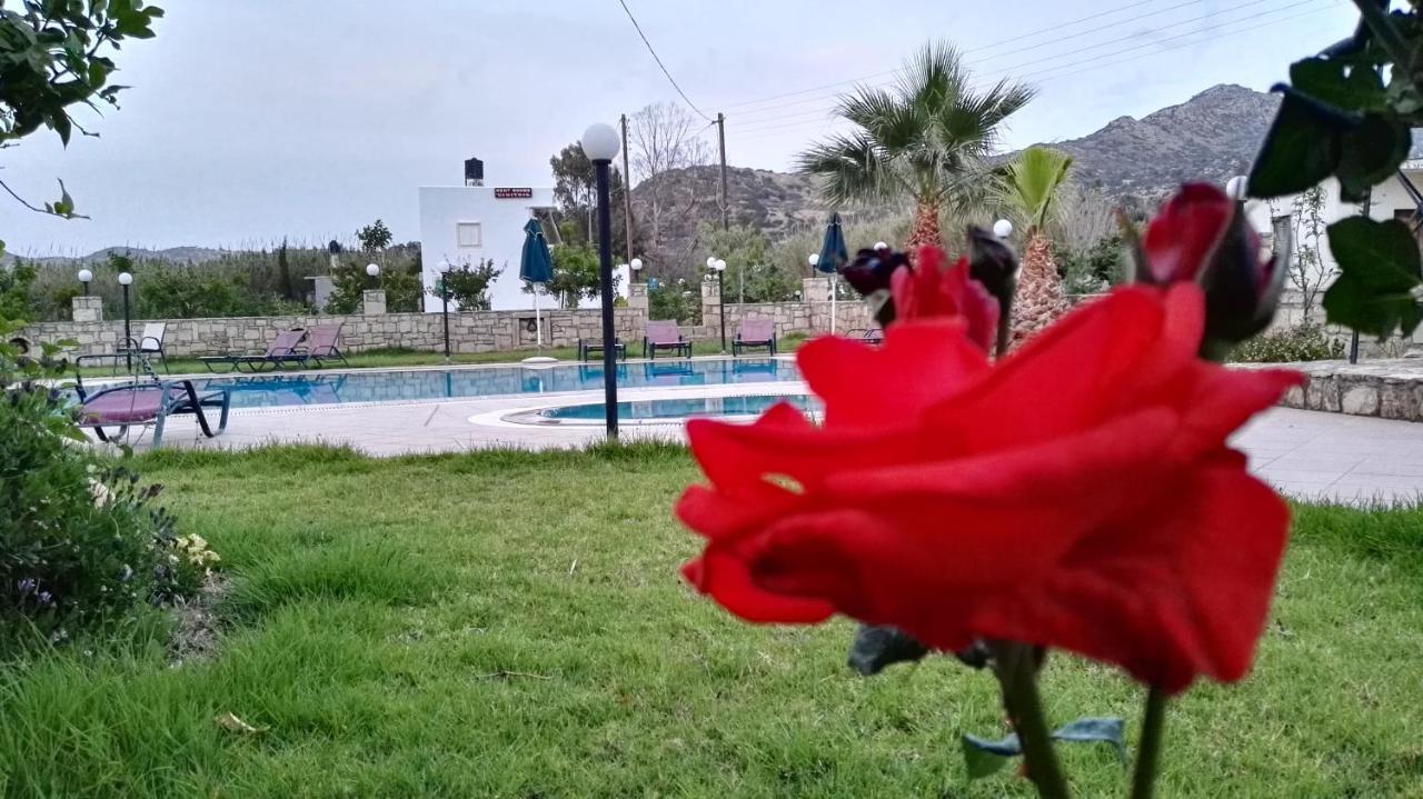 מטלה Dimitris Villa Hotel מראה חיצוני תמונה