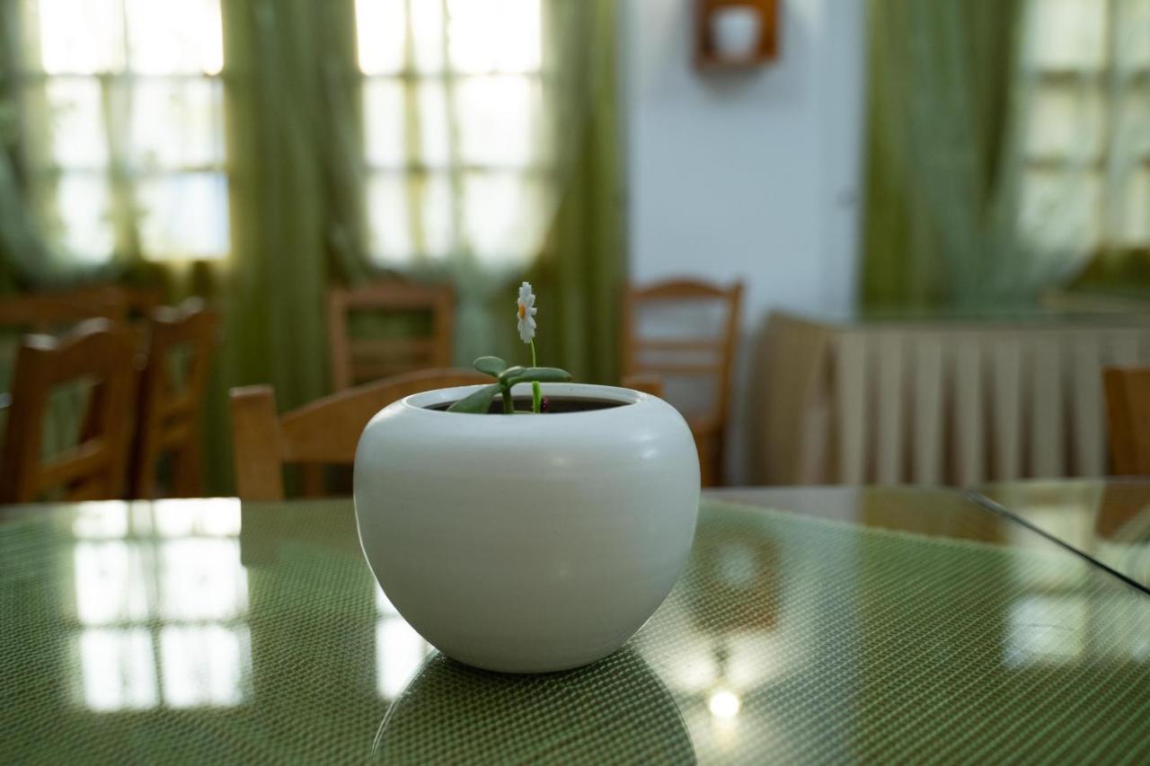מטלה Dimitris Villa Hotel מראה חיצוני תמונה